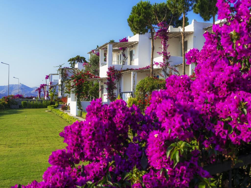 Sunset Mavi Villa Turgutreis Exteriör bild