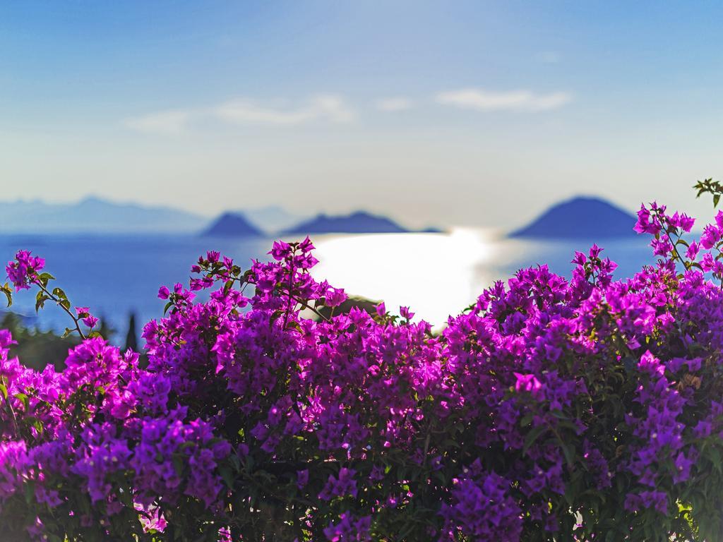 Sunset Mavi Villa Turgutreis Exteriör bild