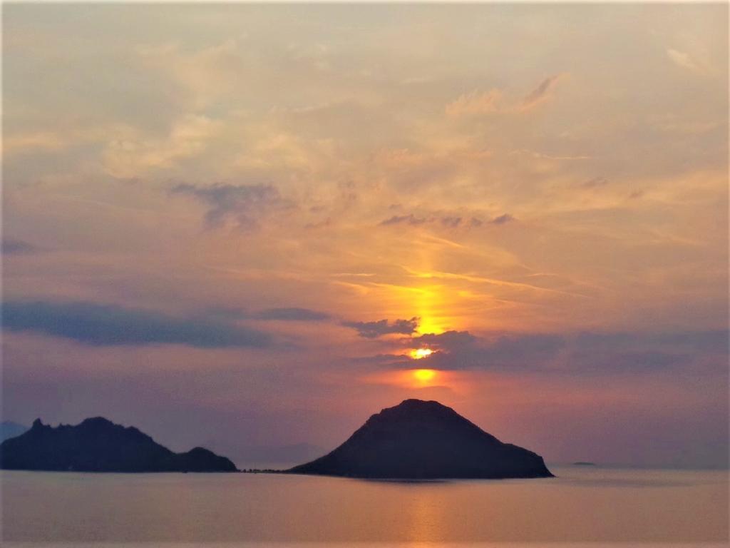Sunset Mavi Villa Turgutreis Exteriör bild