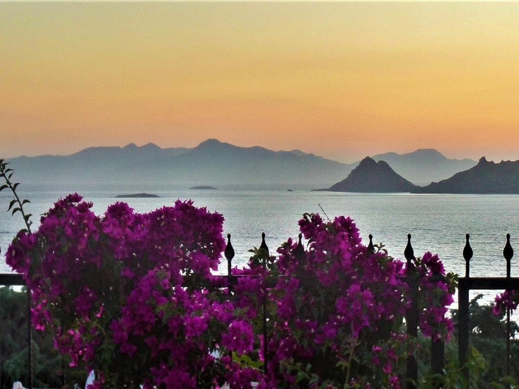 Sunset Mavi Villa Turgutreis Exteriör bild