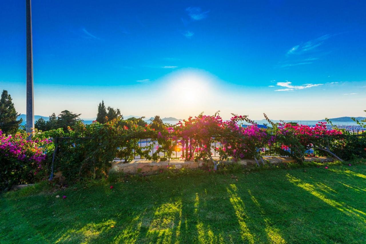 Sunset Mavi Villa Turgutreis Exteriör bild